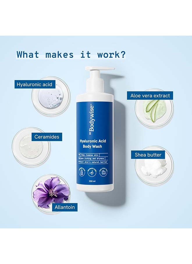 Be Bodywise - Hyaluronic Acid Body Wash With Aloe Vera Extract Gentle And Suitable For All Skin Types - Image 1