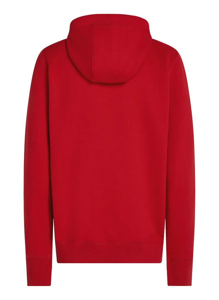 TOMMY HILFIGER Rwb Graphic Print Pull Over Hoodie