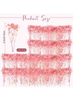 Fumete Fumete 100 Pcs Mini Dried Babys Breath Flowers Pink 5600+ Babys Breath Bulk Bouquet Natural Gypsophila for Resin Home Vase Decor Card Party Making DIY Wedding Flower Wreaths 2-4 Inch  - Image 2