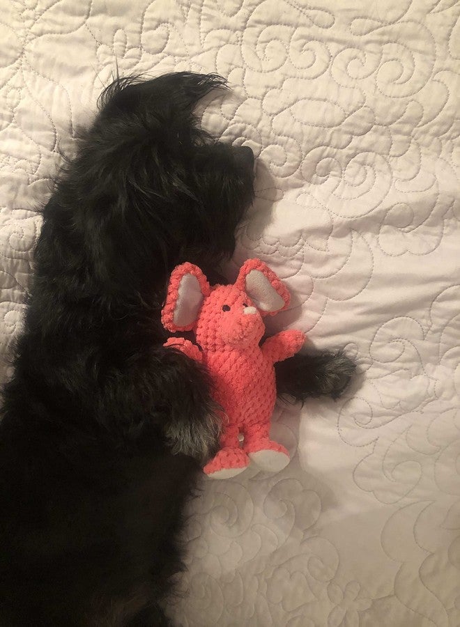Glory To Dog لعبة كلب صغيرة وردية اللون على شكل فيل، من إنتاج Glory To Dog Estelle The Elephant - Image 4