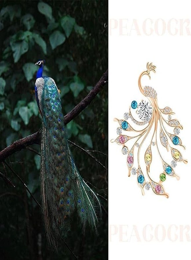 MBKOH Sparkling Peacock Brooch Pain for Women & Girls - Crystal Rhinestone Saree Pin for Dress, Shawl, Blazer - Elegant Clothing Accessory & Gift - Image 5