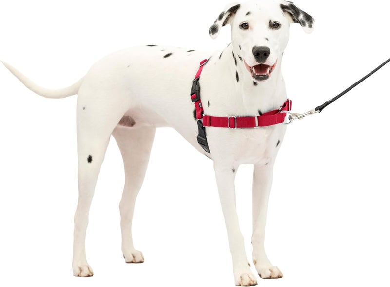 PetSafe Easy Walk Harness for Dogs - Medium/Large, Red/Black - Image 1
