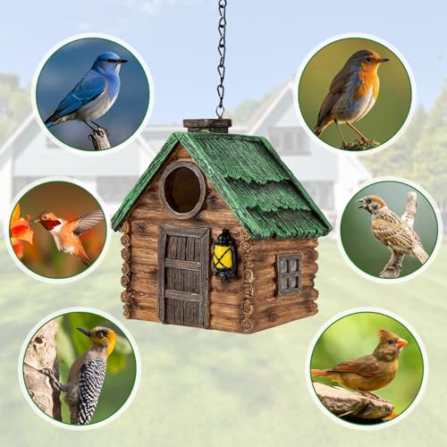 GLOPHOK Bird House for Outside, Resin Bluebird House for Outdoors Finches, Cardinals and Yellow Finches Wild Bird Nesting, 5 Years Weatherable Decorative Stone Hanging Birdhouse for Yard Garden Decor - Image 5