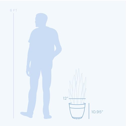 Bloem Dayton Planter with Saucer: 12" - Black - 100% Recycled Plastic Pot, Removable Saucer, Elevated Feet, for Indoor and Outdoor Use, Gardening, 3 Gallon Capacity - Image 3