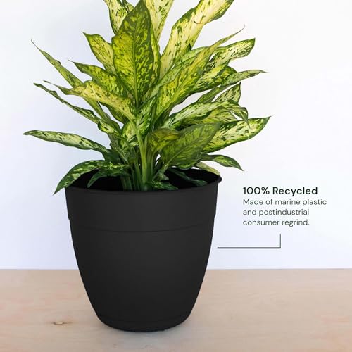 Bloem Dayton Planter with Saucer: 12" - Black - 100% Recycled Plastic Pot, Removable Saucer, Elevated Feet, for Indoor and Outdoor Use, Gardening, 3 Gallon Capacity - Image 4