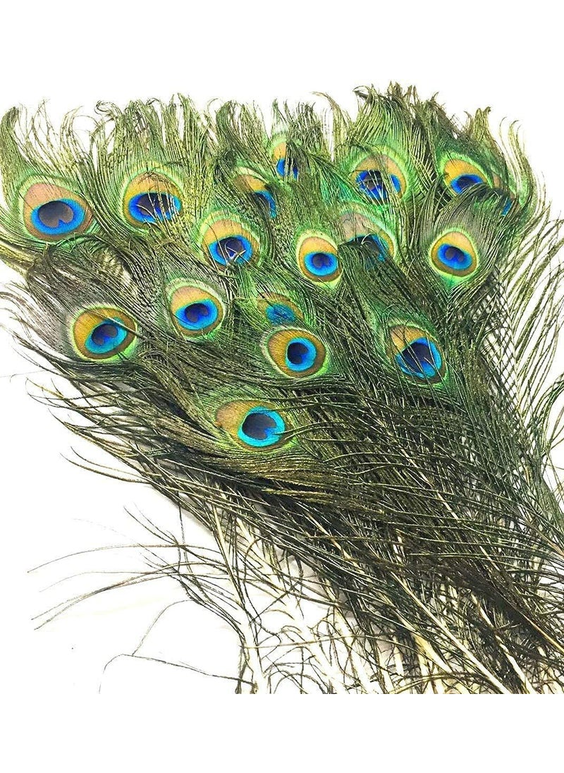 ASTRELLA ASTRELLA Pack of 12 Decorative Feathers 2 feet Peacock Feather  - Image 3