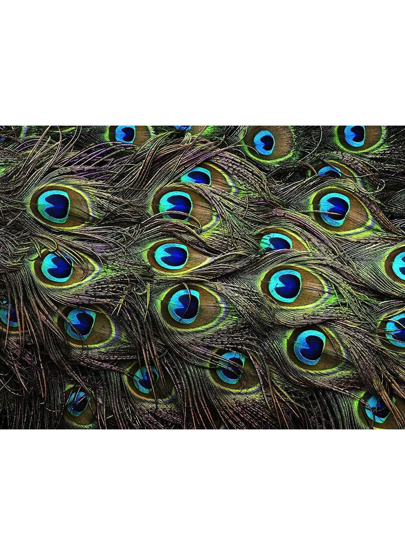 ASTRELLA ASTRELLA Pack of 12 Decorative Feathers 2 feet Peacock Feather  - Image 2