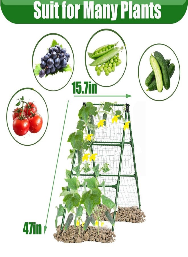 JK-GMTE Cucumber Trellises A Frame Plant Supports Green Trellis for Cucumber, Climbing Plants Vegetables Flowers (Green) 47x15in - Image 3
