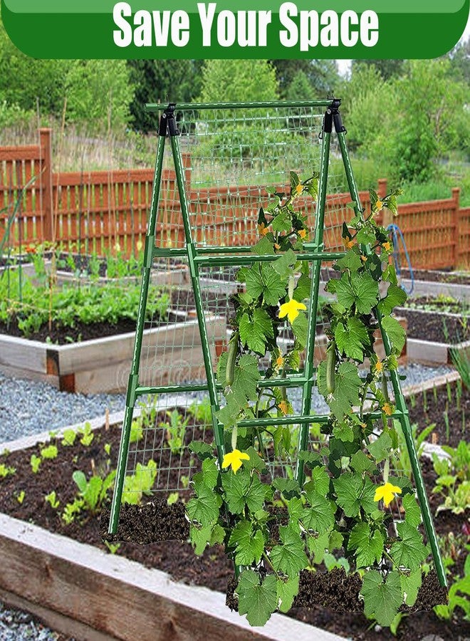 JK-GMTE Cucumber Trellises A Frame Plant Supports Green Trellis for Cucumber, Climbing Plants Vegetables Flowers (Green) 47x15in - Image 2
