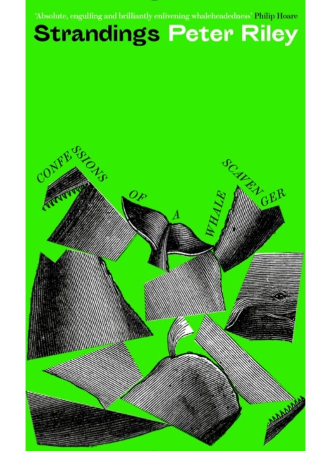 Strandings : Confessions of a Whale Scavenger