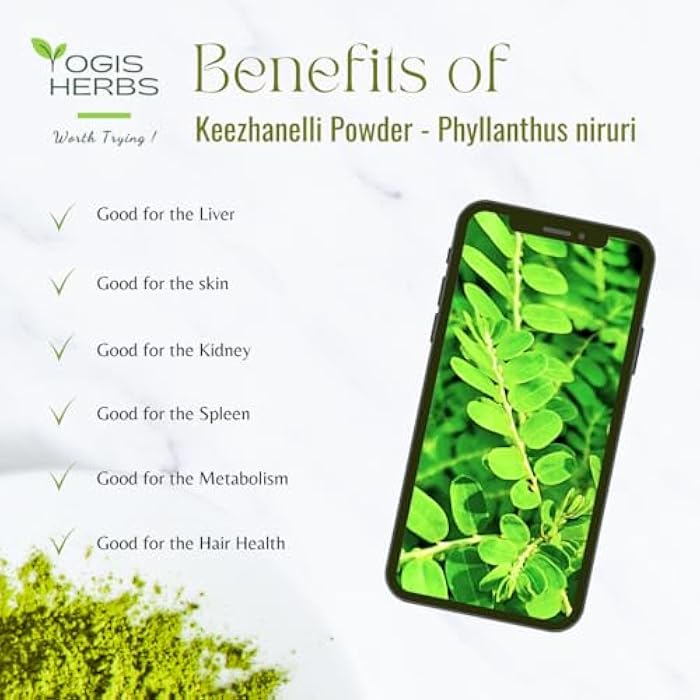 YOGIS HERBS Keezhanelli Powder (Phyllanthus Niruri) | Chanca Piedra Stone Breaker – Liver, Kidney & Gallbladder Support– Fresh & Pure Herbal Supplement (3.5 oz) - Image 4