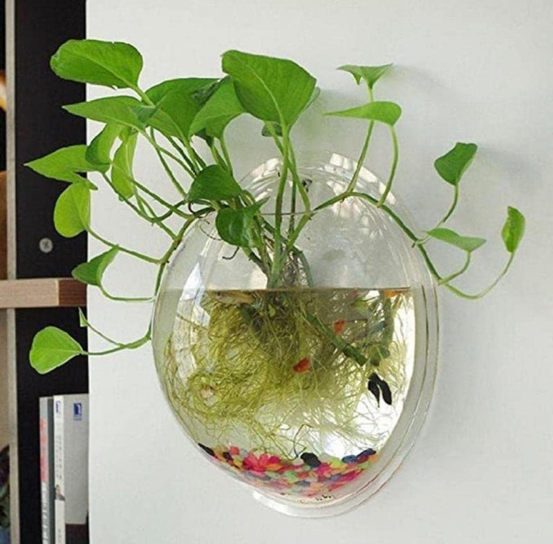 Mistletoe Beautiful Quality Wall Hanging Fish Bowl Acrylic (Not Glass) 9 Inches, 1 LTR - Image 1