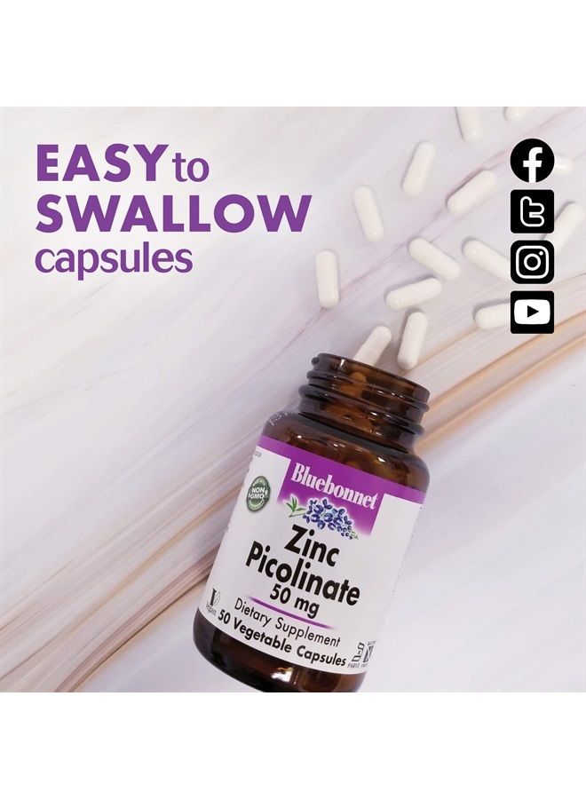 Bluebonnet Nutrition Zinc Picolinate 50 mg Vegetable Capsules, Best for Hormonal & Immune Health, Prostate Health, Skin, Vegan, Non GMO, Gluten Free, Soy Free, Milk Free, Kosher, 100 Vegetable Capsule - Image 3
