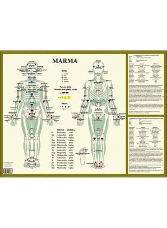 Marma -- A2 Poster  - Image 1
