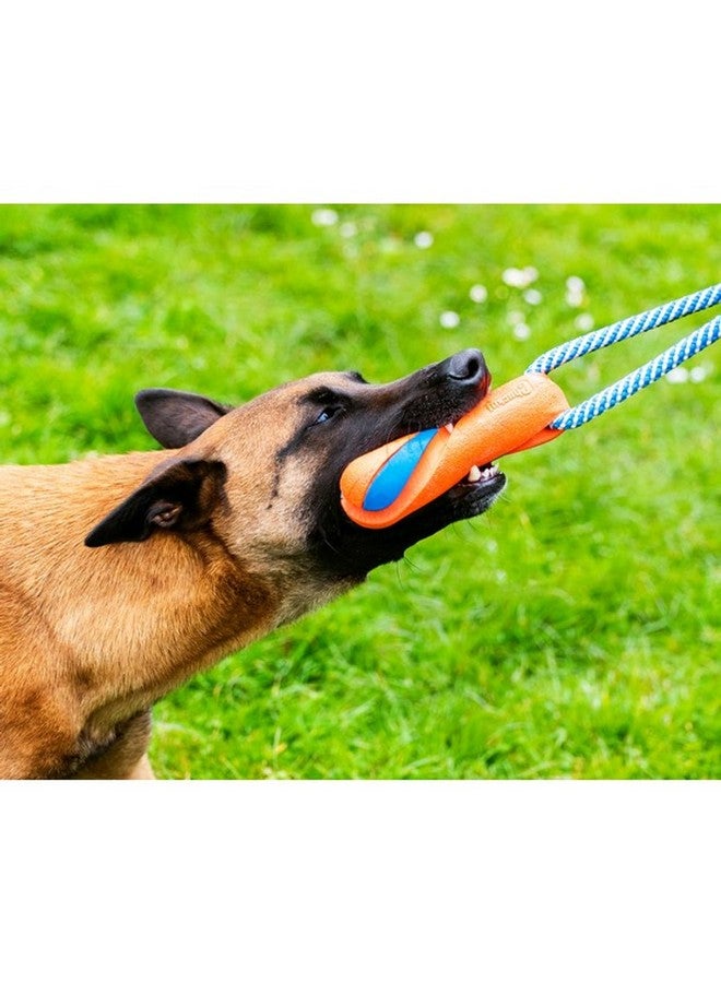 Chuckit! Ultra Bumper Tug Dog Toy,Orange,Medium - Image 5