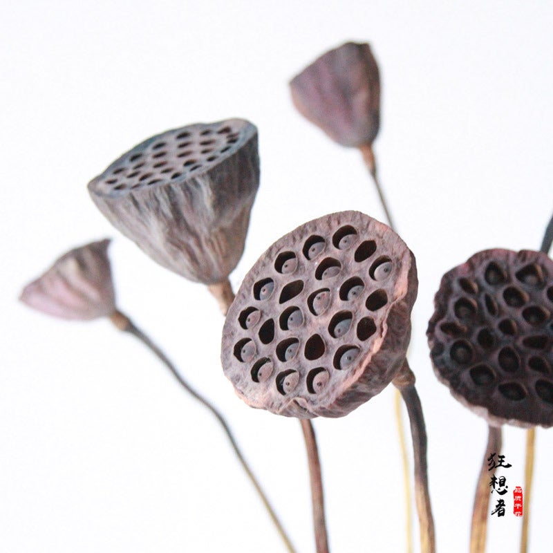 Generic Bohemian Dried Lotus Home Decor Real pole Lotus [single branch]] 