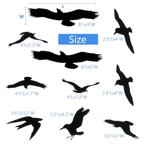 MESINURS Window Bird Stickers Anti-Collision Decals Glass Door Protection Save Birds Strikes, Black, 10 PCS - Image 2
