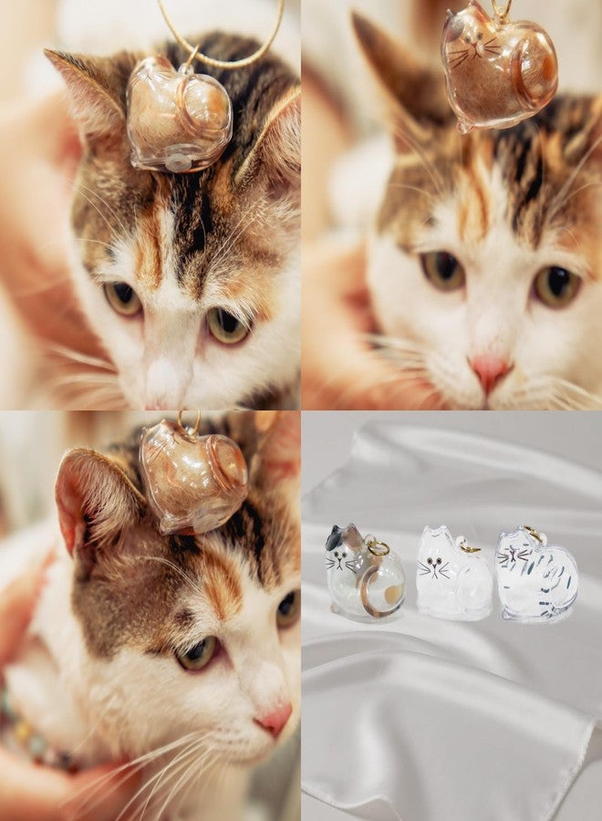 6-Pack Transparent Cat Fur Keepsake Keychain – Pet Hair Storage Capsule with Secure Lock, Memorial Set for Multi-Cat Owners, Sympathy Gift for Cat Lovers - Image 5