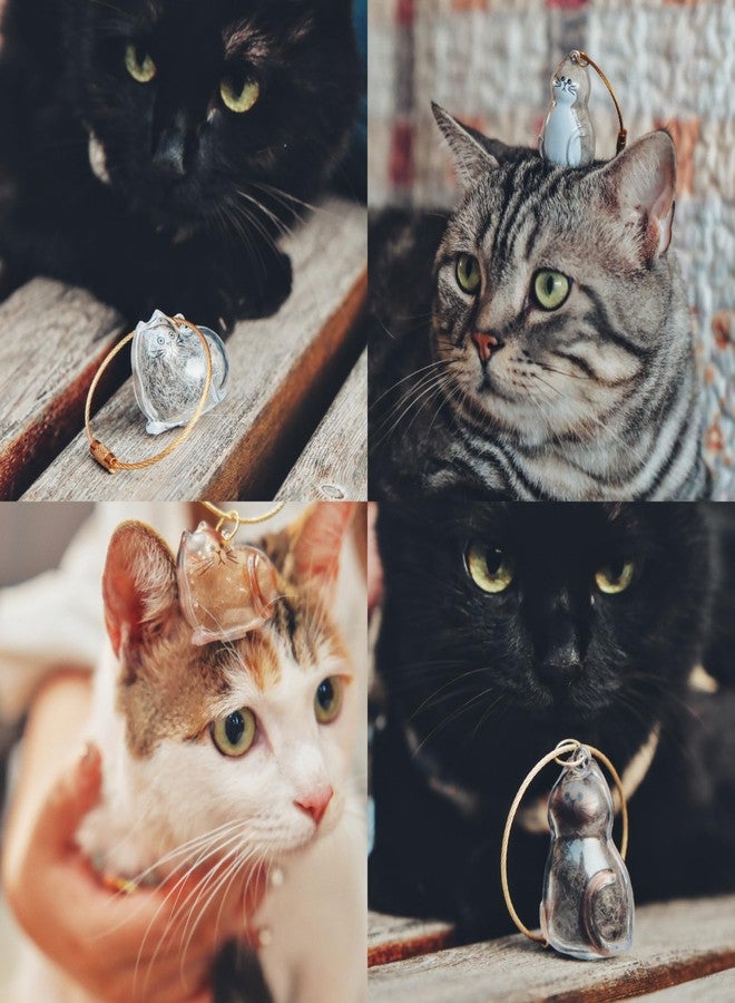 6-Pack Transparent Cat Fur Keepsake Keychain – Pet Hair Storage Capsule with Secure Lock, Memorial Set for Multi-Cat Owners, Sympathy Gift for Cat Lovers - Image 3