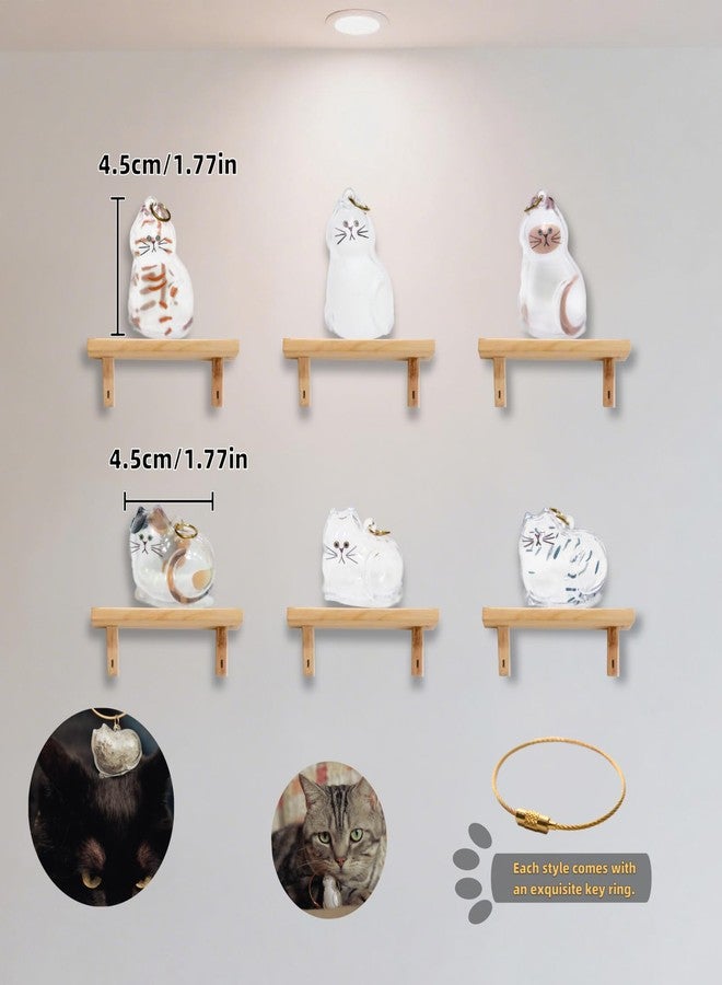 6-Pack Transparent Cat Fur Keepsake Keychain – Pet Hair Storage Capsule with Secure Lock, Memorial Set for Multi-Cat Owners, Sympathy Gift for Cat Lovers - Image 2