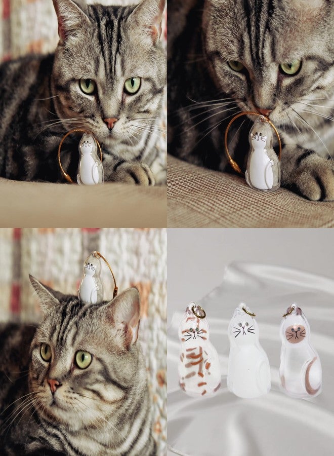 6-Pack Transparent Cat Fur Keepsake Keychain – Pet Hair Storage Capsule with Secure Lock, Memorial Set for Multi-Cat Owners, Sympathy Gift for Cat Lovers - Image 4
