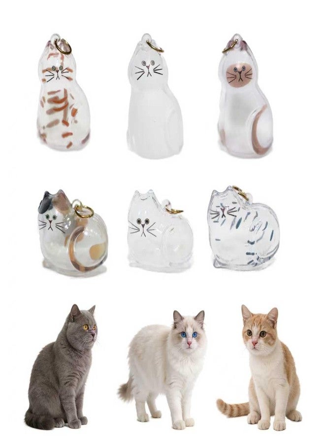 6-Pack Transparent Cat Fur Keepsake Keychain – Pet Hair Storage Capsule with Secure Lock, Memorial Set for Multi-Cat Owners, Sympathy Gift for Cat Lovers - Image 1