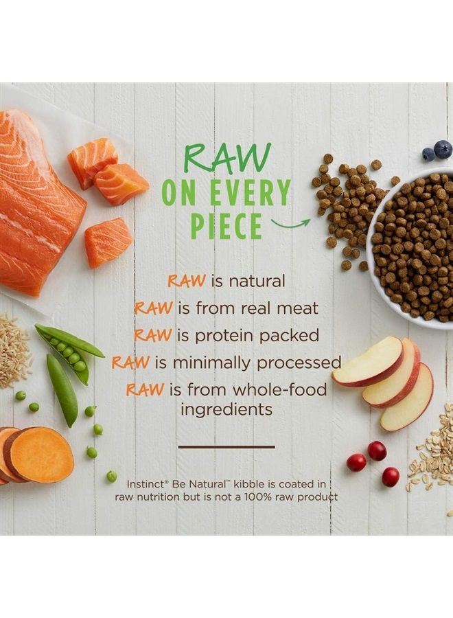 Be Natural Real Salmon & Brown Rice Recipe Natural Dry Dog Food, 24 lb. Bag