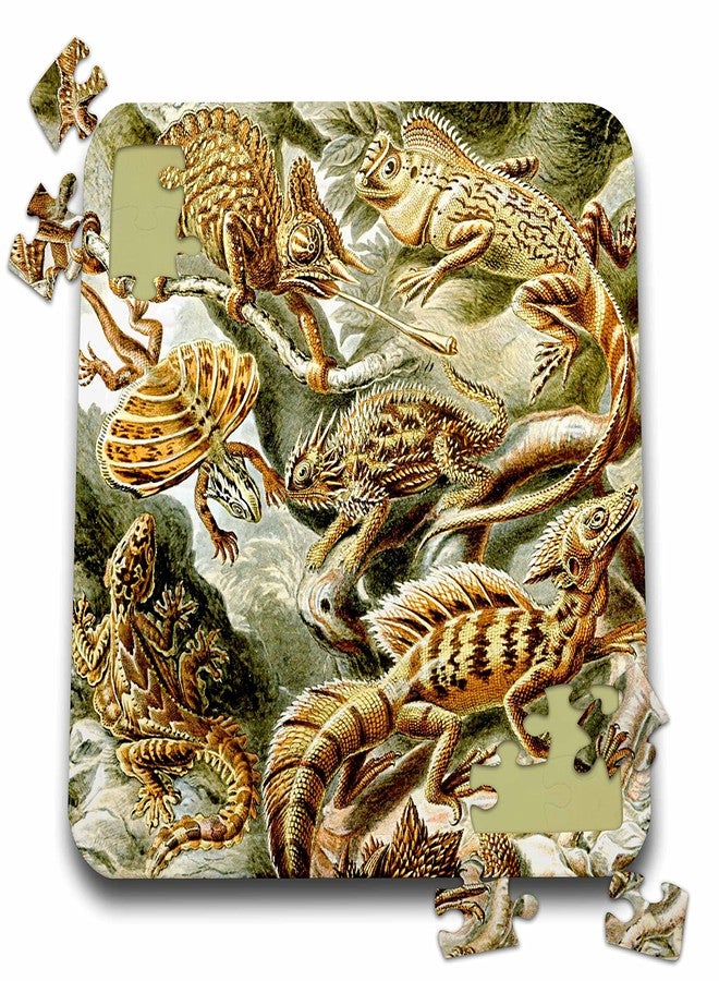 3dRose Lizards and Reptiles Art Print - Reptile Breeds and Species -... - Puzzles (pzl-365423-2) - Image 1