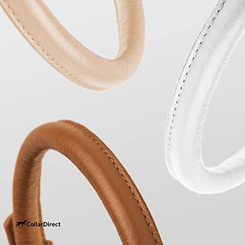 CollarDirect Rolled Leather Dog Collar, Soft Padded Round Puppy Collar, Handmade Genuine Leather Collar Dog Small Large Cat Collars 13 Colors (8-11 Inch, Beige Textured) - Image 5