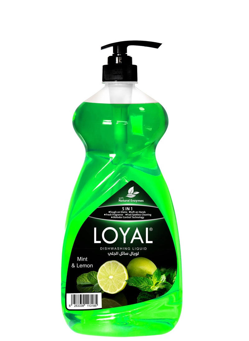 loyal 5 In 1 Dishwashing Liquid With Mint & Lemon Fragrance 1.5 Ltrs  - Image 1