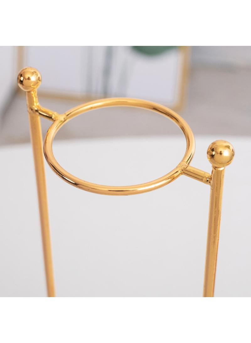 Bluejw Iron Glass Vase Hydroponic Flower Apparatus Decoration Of Living Room Dining Table And TV Cabinet - Image 3