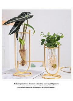Bluejw Iron Glass Vase Hydroponic Flower Apparatus Decoration Of Living Room Dining Table And TV Cabinet  - Image 4