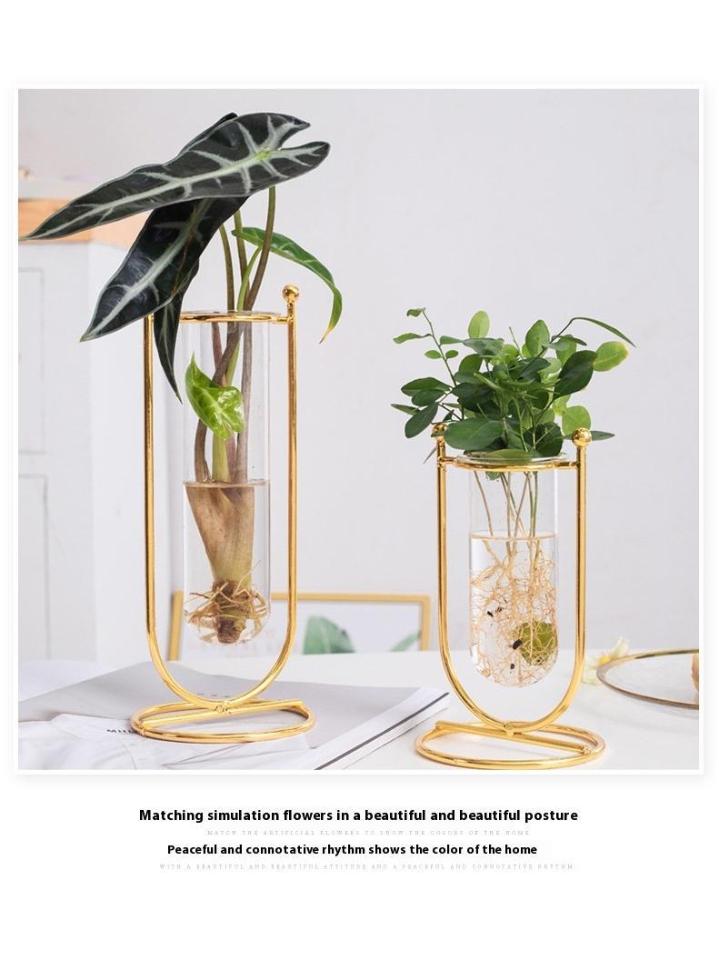 Bluejw Iron Glass Vase Hydroponic Flower Apparatus Decoration Of Living Room Dining Table And TV Cabinet - Image 4
