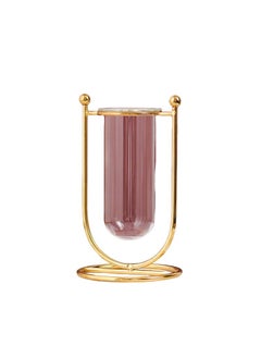Bluejw Iron Glass Vase Hydroponic Flower Apparatus Decoration Of Living Room Dining Table And TV Cabinet  - Image 1