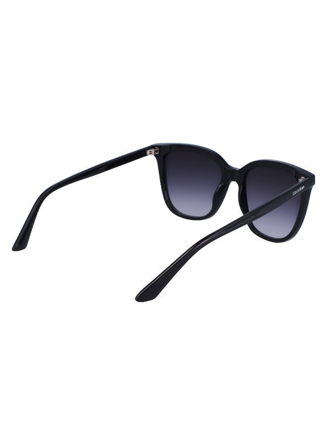 CALVIN KLEIN FULL RIM INJECTED CALVIN KLEIN SUN CK23506S - Image 5