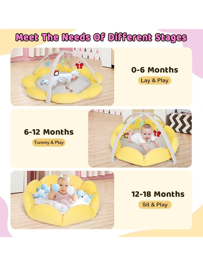 Gonice Convertible Baby Play Gym with 5 Toys, Tummy Time Mat for Sensory Development, Baby Activity Center from Newborn to Toddler, Ball Pit, Cat & Dog Bed, Soft Plush Pet Bed  - Image 3