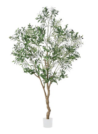 210CM Olive