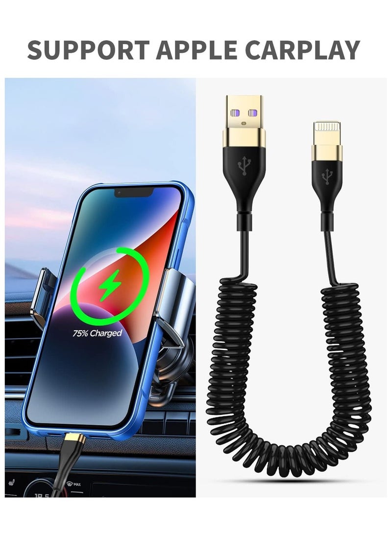 Y&D - Coiled Lightning Cable for Apple CarPlay Expansion Spring Charge and Sync c/XS/XS Max/XR/Phone X/8/8 Plus/7/7 Plus iPad Pro More - Image 1