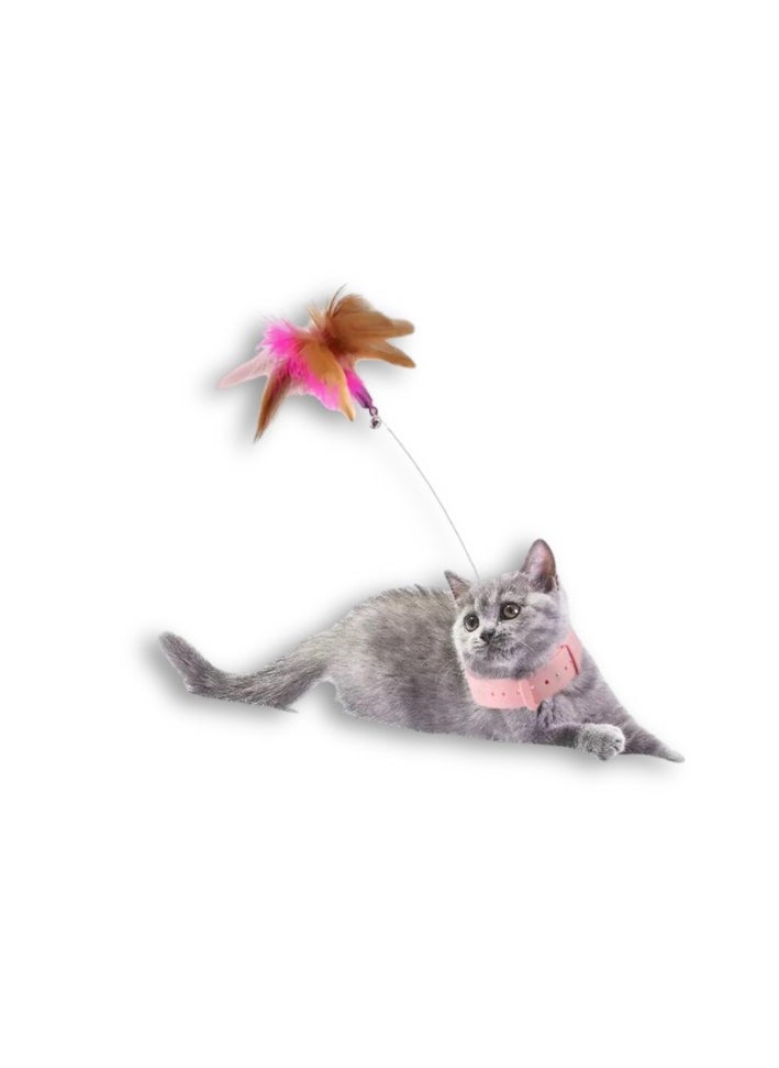 ساس now  Saas Cat Collar Teaser Stick (6-12Cm)  - Image 1