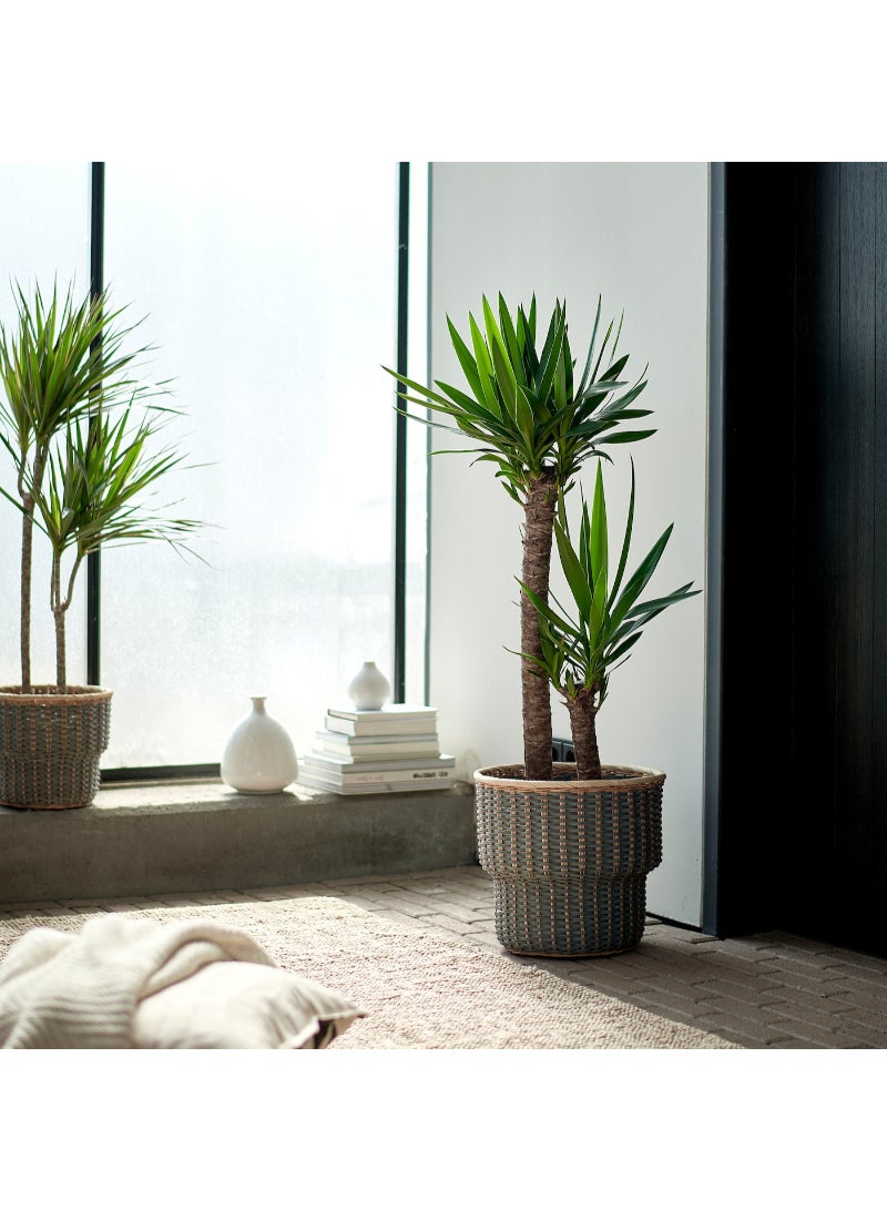 FEJKA Artificial potted plant, 19 cm - Image 2