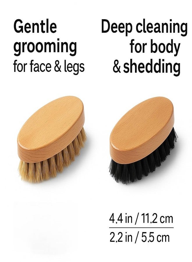FAQQI Goat Brushes for Grooming 2 Pack, Wooden Livestock Brush Set for Goats, Sheep, Calves, Horses, Dogs and Pigs, Soft Boar Bristle and Firm Nylon Body Brushes for Shedding, Face and Leg Care - Image 3