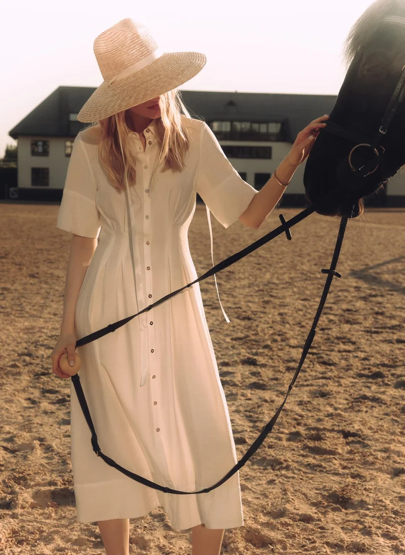 Lichi Midi dress with triangle collar and waist pleats