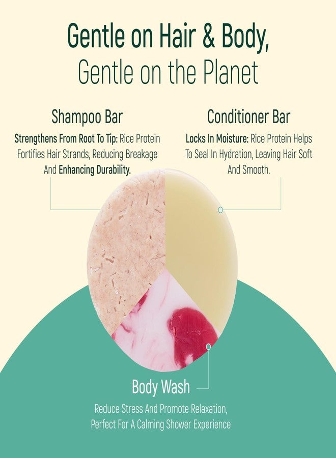 BAMBOEARTH Solid Rice Protein Shampoo, Conditioner and Body Wash Bundle | Shampoo, Conditioner & Wash Bars For Hair and Body w/All Natural Plant Based Essential Oils & Zero Waste Packaging (Coconut & Shea) - Image 4