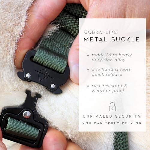 Roam Made to ROAM Premium Dog Collar - Adjustable Heavy Duty Nylon Collar with Quick-Release Metal Buckle (Oregon Haze, Classic Size 5) - Image 4
