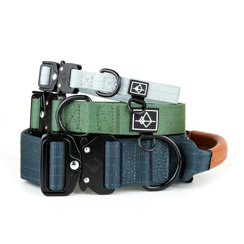 Roam Made to ROAM Premium Dog Collar - Adjustable Heavy Duty Nylon Collar with Quick-Release Metal Buckle (Oregon Haze, Classic Size 5) - Image 1