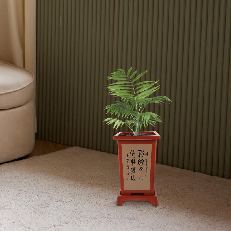Orchid Planter Pot with Saucer Breathable Plastic Flower Pot for Indoor Home Gardening - Image 5