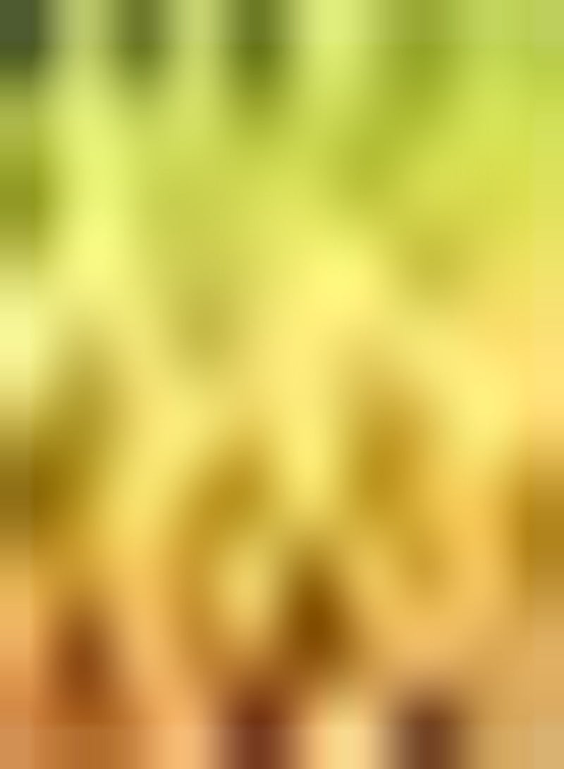 GGOOT 300pcs Yellow Snapdragon seeds Inserting in Vase Bring Aroma to Living Room Loved by Gardeners Attract Butterflies and Bees - Image 2