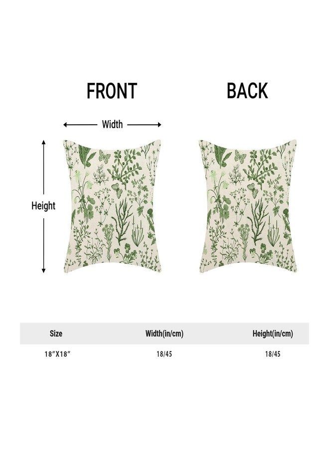 AEIOAE Summer Pillow Covers 18x18 Inch Set of 2,Olive Green Wild Flower Plant Throw Pillows Case,Seasonal Floral Outdoor Decorative Square Linen Farmhouse Decor Cushion Covers for Home Sofa Bed Couch - Image 5