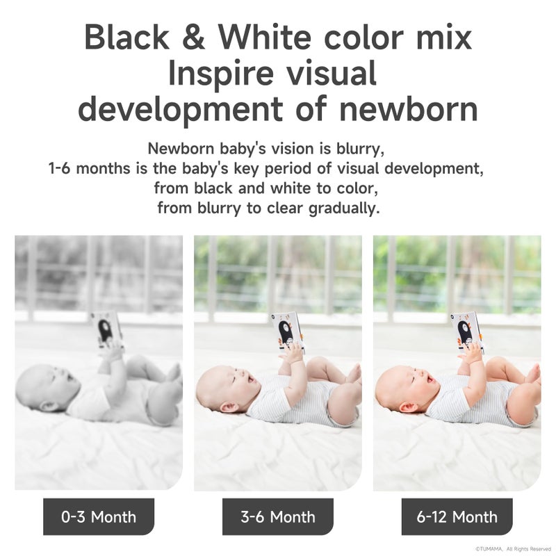 TUMAMA Black and White Baby Toys, High Contrast Baby Tummy Time Toys, Newborn Soft Books Mirror Rattles, Montessori Sensory Toys 0-12 Months, Hanging Infant Toys for Carseat Stroller Play Mat Crib - Image 3