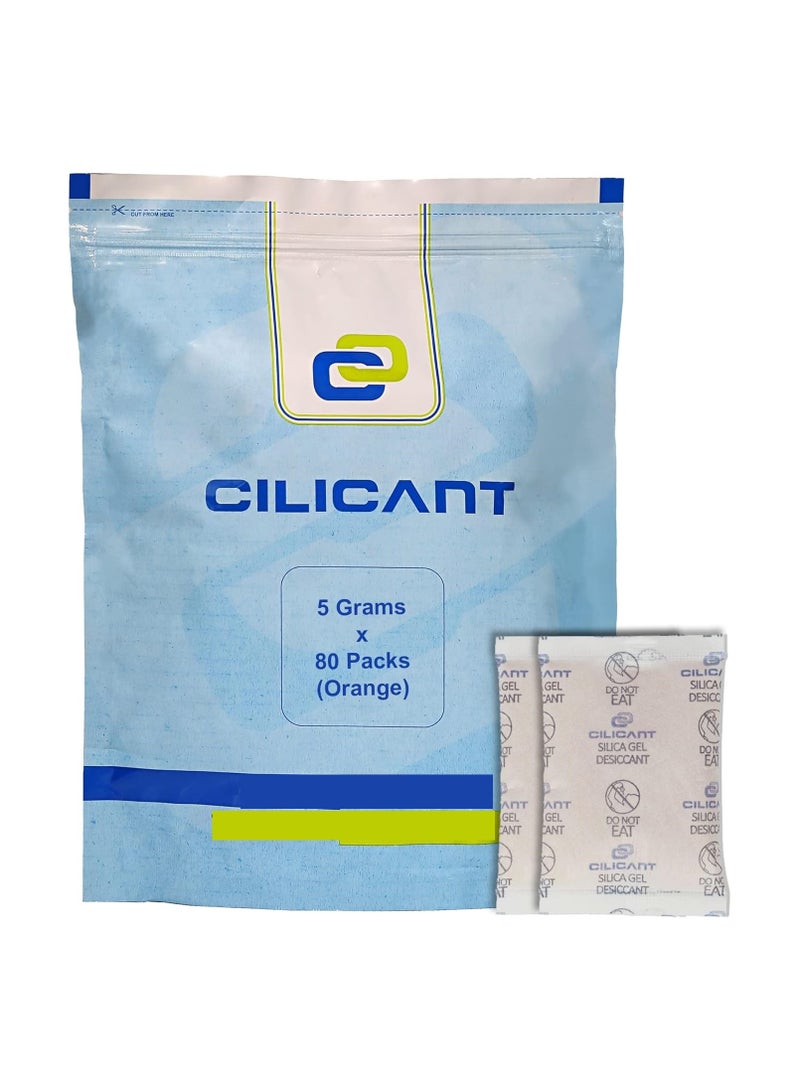 CILICAnT عبوات جل السيليكا من سيليكانت 1 جرام (250 قطعة) - مادة مجففة بيضاء ماصة للرطوبة للأجهزة الإلكترونية والأدوات والوثائق والملابس والتخزين | عبوات مزيلة للرطوبة ومضادة للروائح والفطريات | 1 جرام × 250 = 250 جرام - Image 1